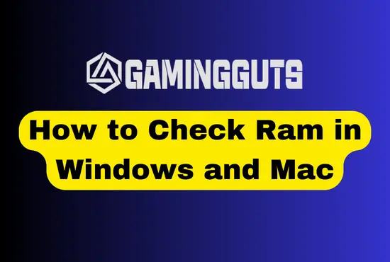 How to Check Ram in Windows and Mac