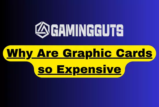 Why Are Graphic Cards so Expensive – Real Facts Revealed